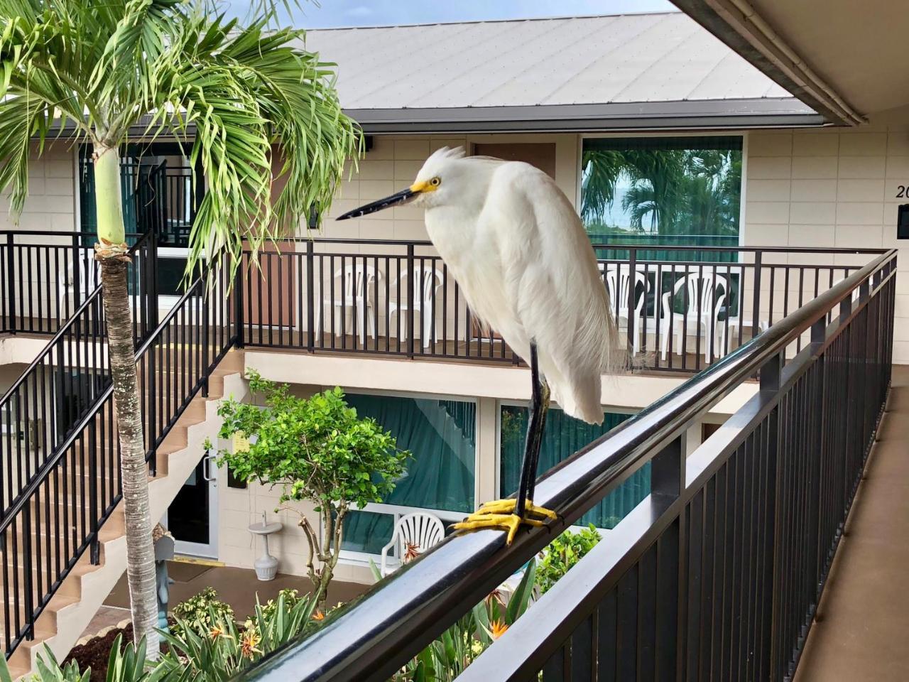Caribbean Beach Club Fort Myers Beach Exterior photo